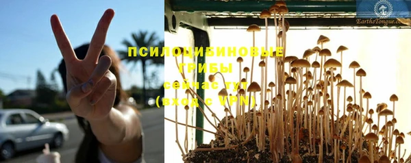 синтетический гашиш Кодинск